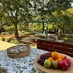 House Kisic Сasa de vacaciones Višnjan