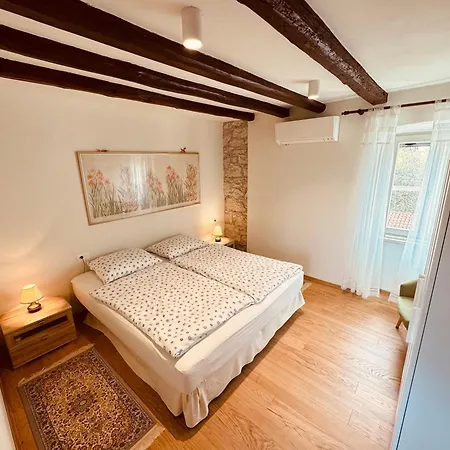 度假居 House Kisic Višnjan