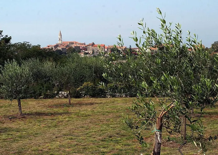 House Kisic Holiday home Visnjan